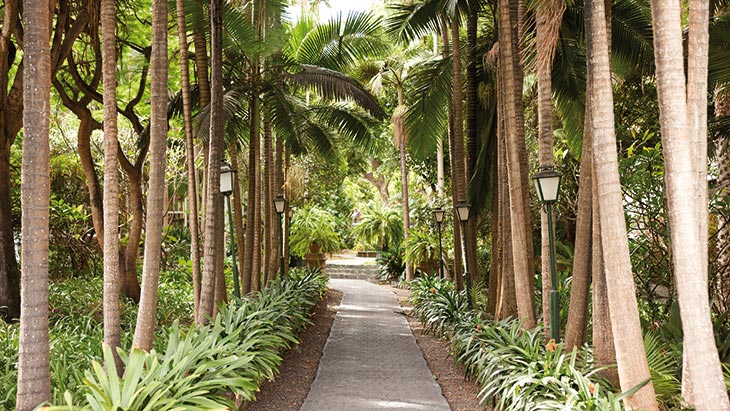 The Duchess Gardens in Gran Canaria
